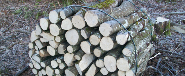 ballot de bois